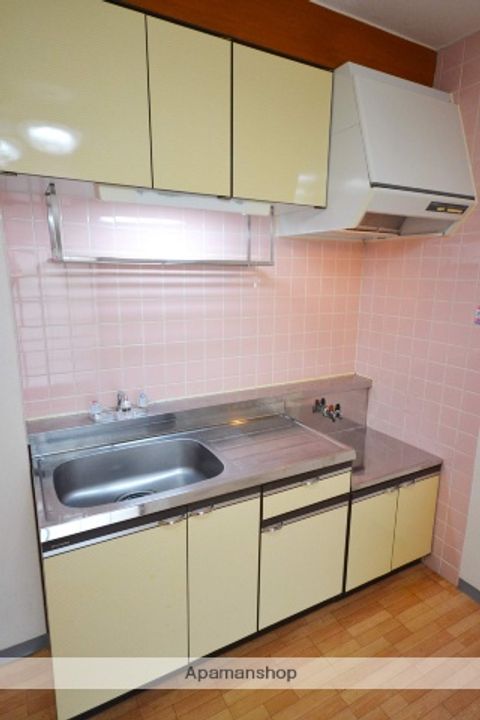群馬県高崎市石原町の賃貸マンションのキッチン