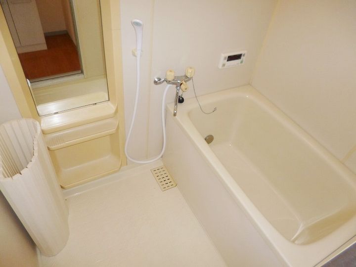 群馬県高崎市中居町4丁目の賃貸アパートの風呂
