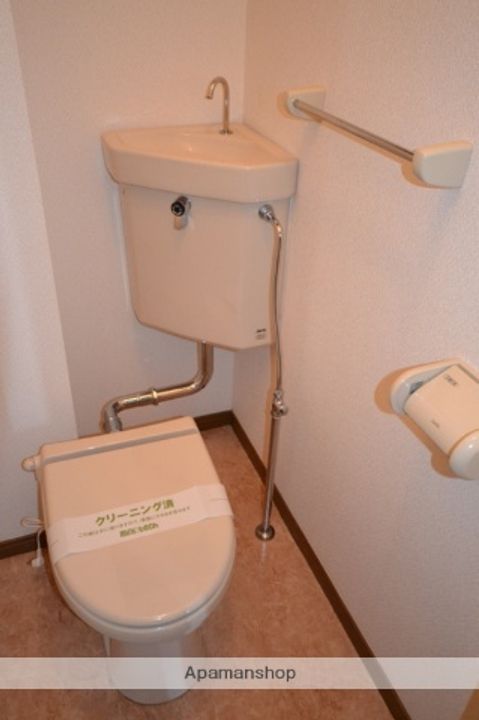 ラベンダーのその他画像