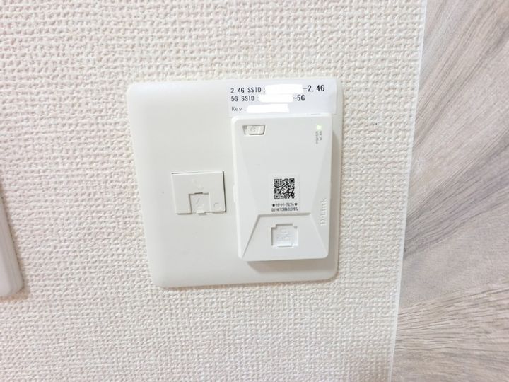 リコリスのその他画像