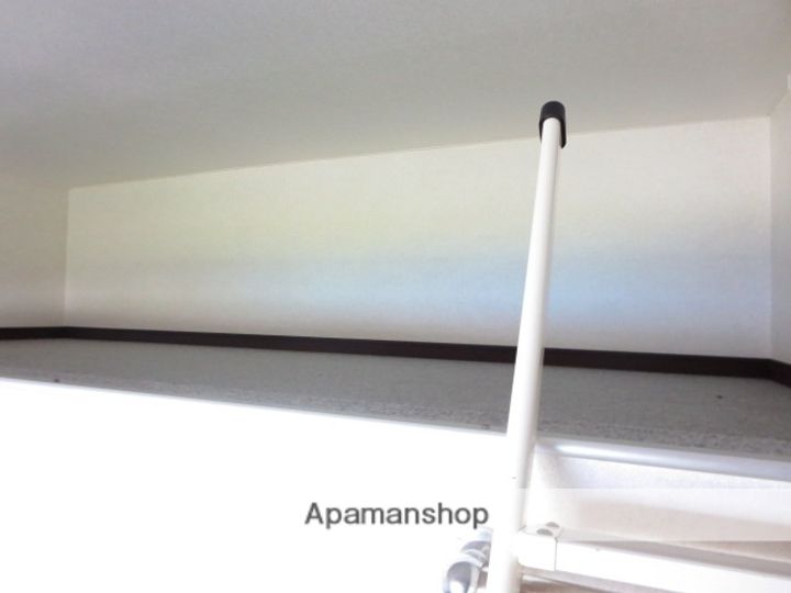 バイエス・サラクボのその他画像