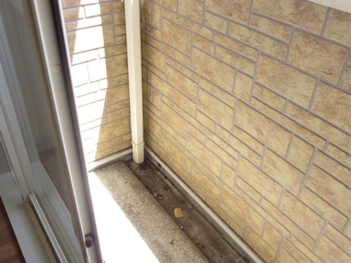 ジェム フォレストのその他画像