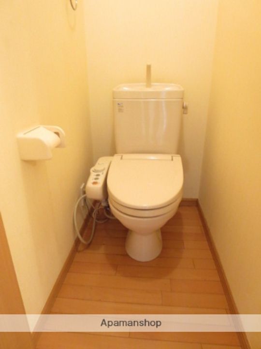 ブライトCのその他画像