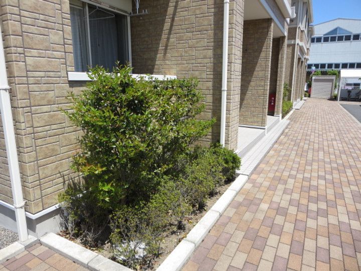 ジェム フォレストのその他画像