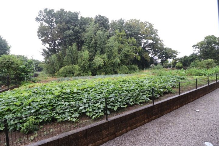 SAKURA HILLS Bの内装