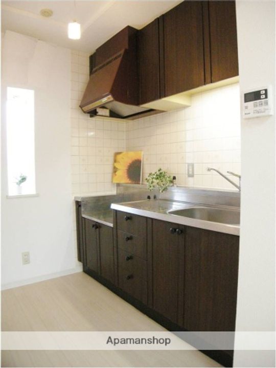 埼玉県さいたま市中央区本町西4丁目の賃貸マンションのキッチン