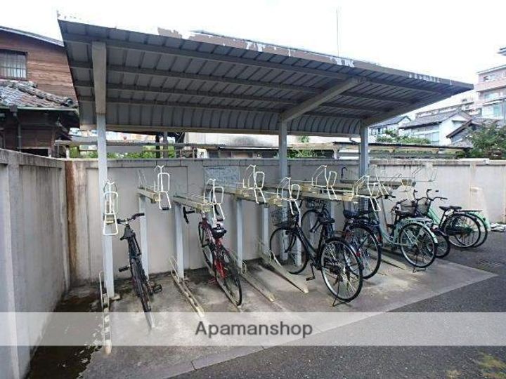 クリオコート21205の外観