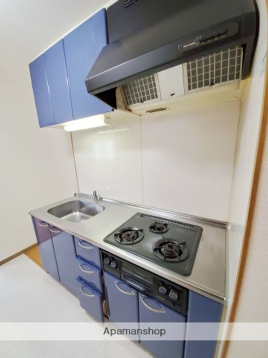 埼玉県さいたま市中央区鈴谷8丁目の賃貸マンションのキッチン