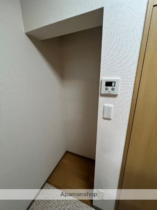 埼玉県さいたま市中央区鈴谷8丁目の賃貸マンションの内装