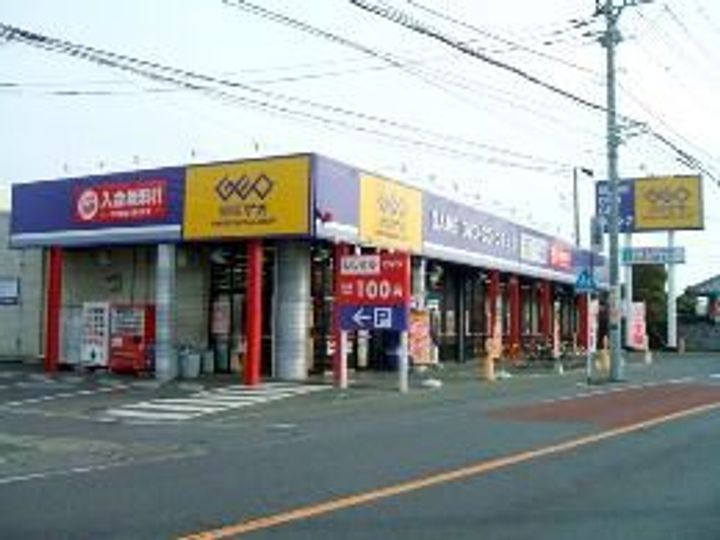 プルメリアの周辺
