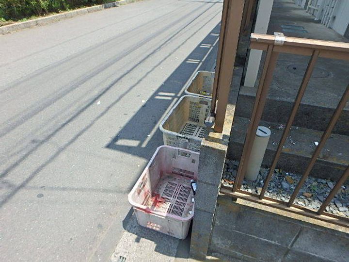 シティハイムヘルシーハイムの外観