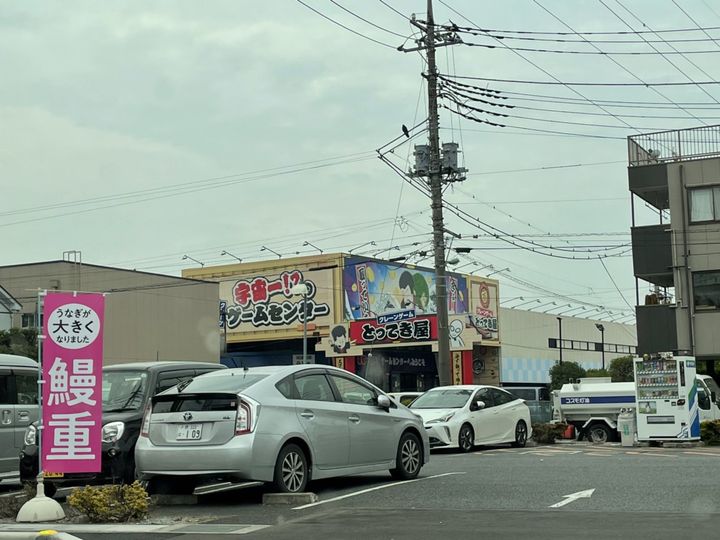 ウィステリアの周辺