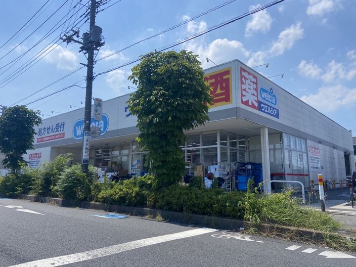 ウィステリアの周辺