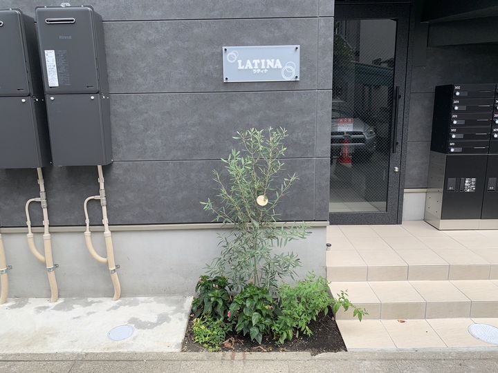 LATINAの外観