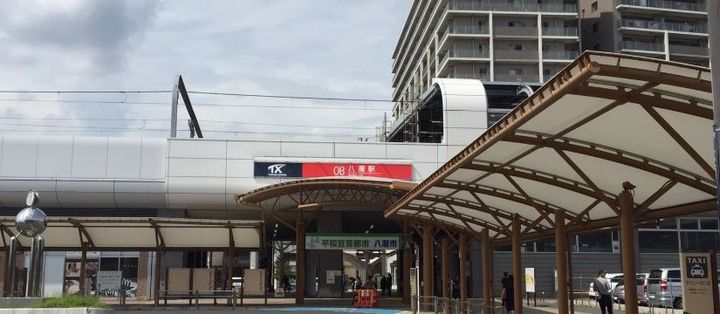 モンステラの周辺