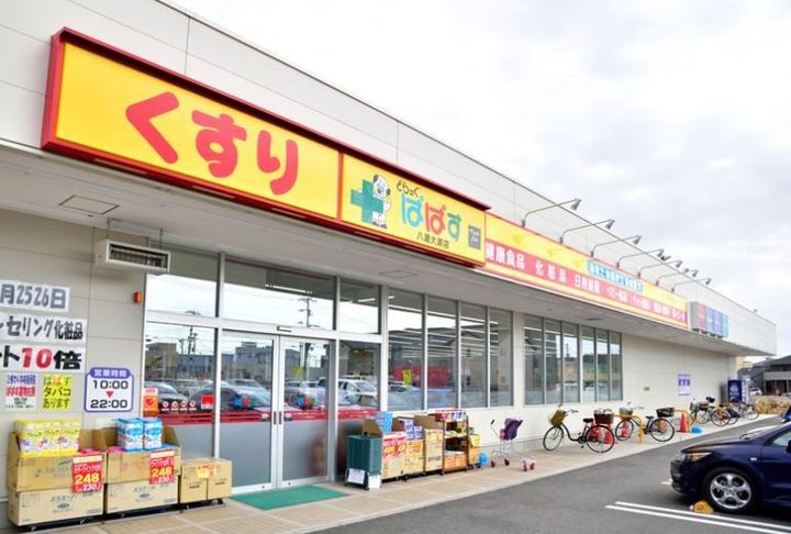 モンステラの周辺