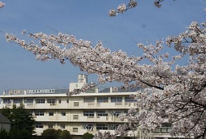 埼玉県さいたま市南区白幡6丁目の賃貸マンション403号室の周辺