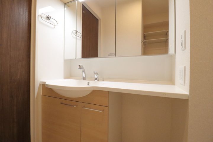 ロイジェントパークス レイクタウン Ⅱ Kの内装