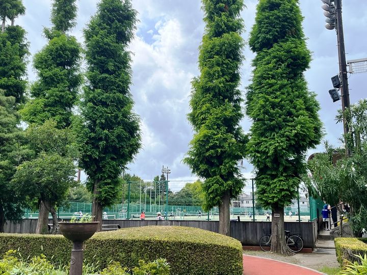 グランカーサ川口青木町公園の周辺