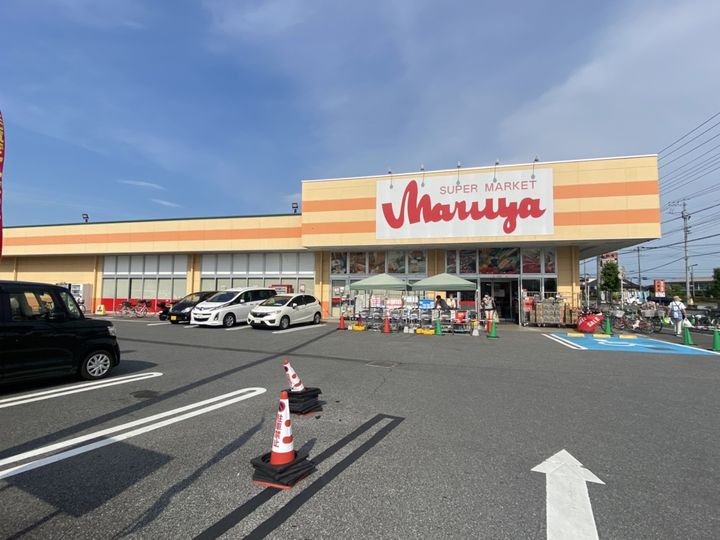 セピアハイツ201号室の周辺