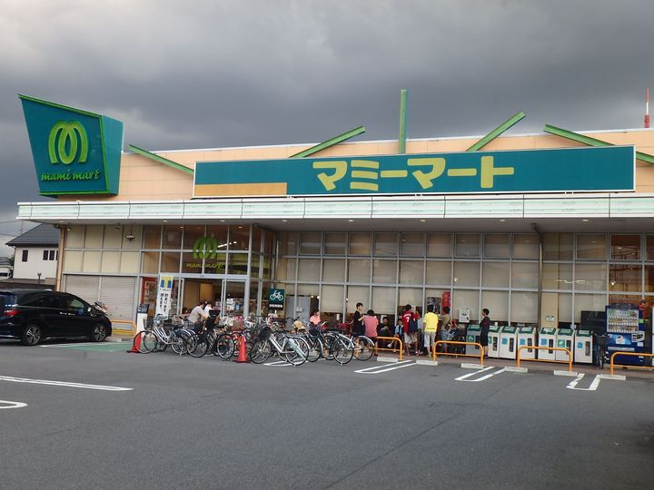 レオパレスギンモクセイの周辺