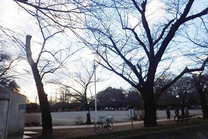 ラフレシールの周辺