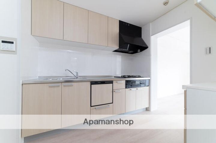 埼玉県さいたま市浦和区瀬ヶ崎1丁目の賃貸マンションのキッチン