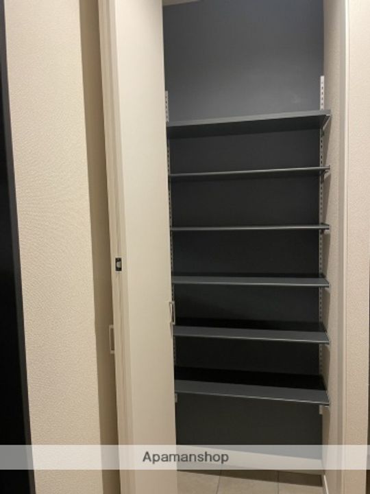 埼玉県さいたま市浦和区岸町5丁目の賃貸マンションの内装