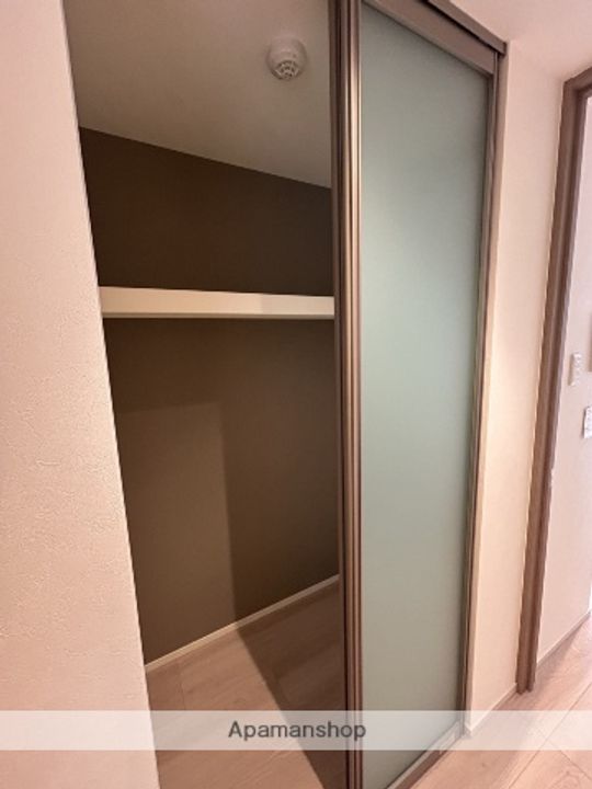 埼玉県さいたま市浦和区常盤9丁目の賃貸マンションの内装