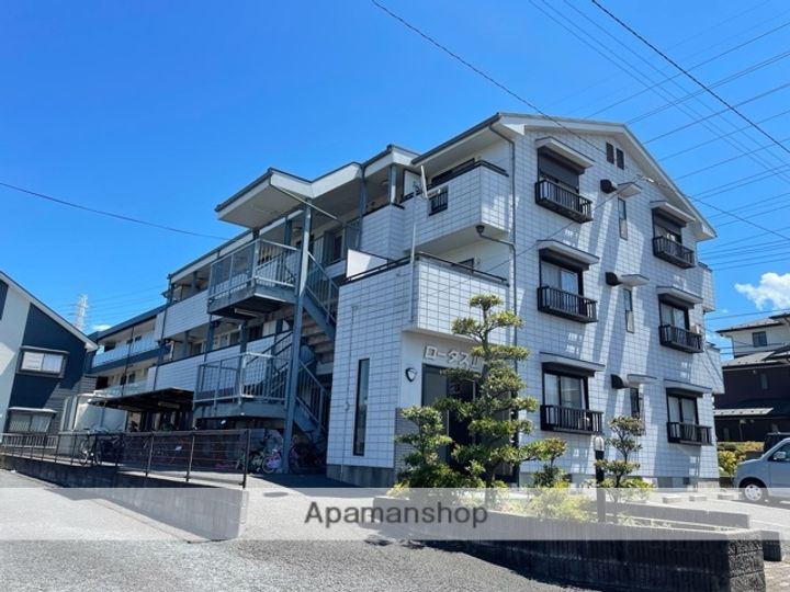 ロータスⅡ305の外観