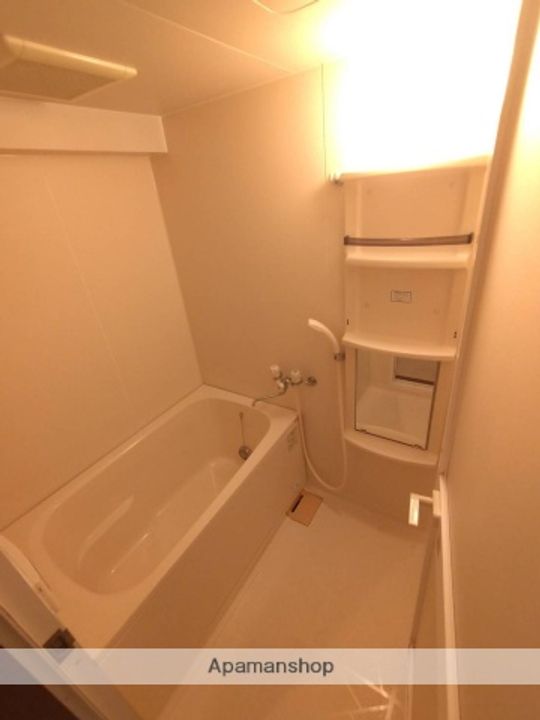 グリーンパレス303の風呂