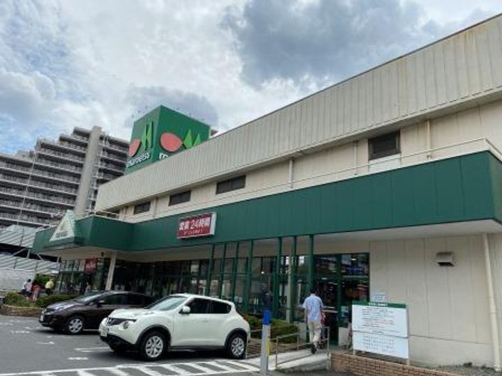 リブリ・カーサ本町西の周辺