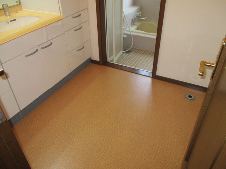 埼玉県さいたま市見沼区大字南中丸(一戸建)の賃貸物件戸建てのその他画像