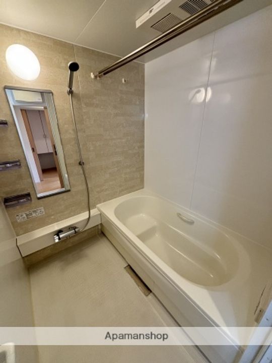 埼玉県さいたま市大宮区天沼町2丁目の賃貸マンションの風呂
