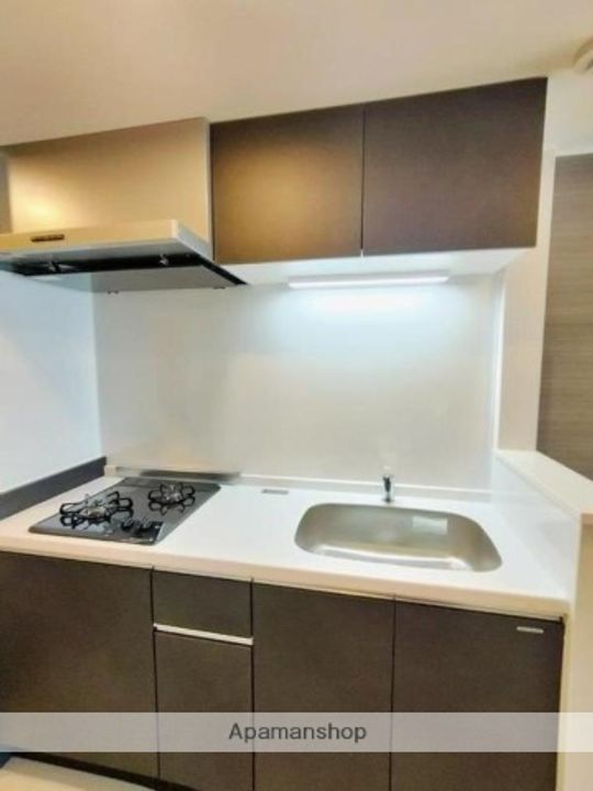 埼玉県さいたま市大宮区大成町3丁目の賃貸アパートのキッチン