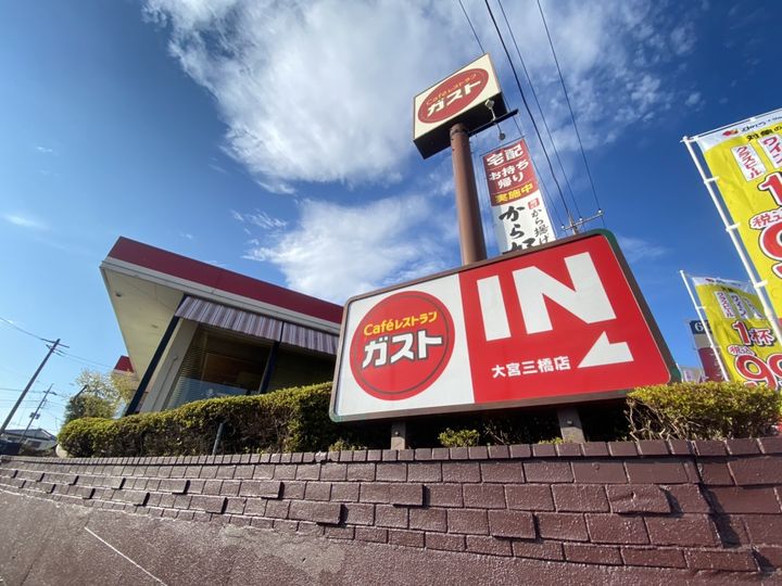 レオネクストセレーネの周辺