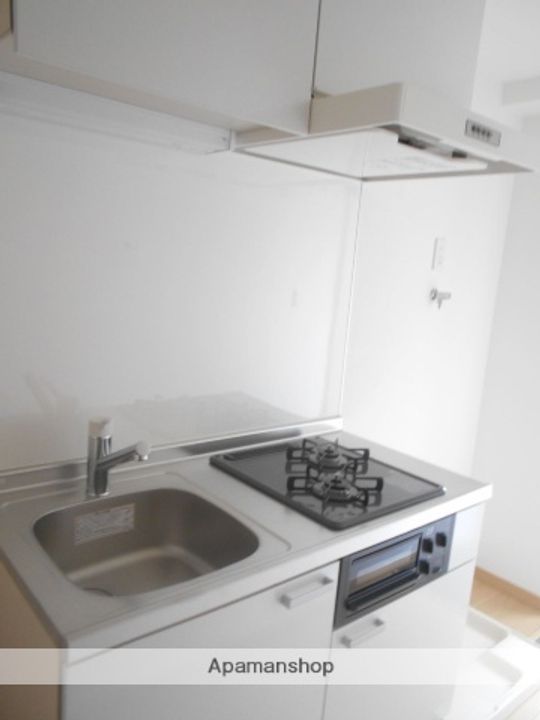 AMBOISE指扇(アンボワーズ)のキッチン