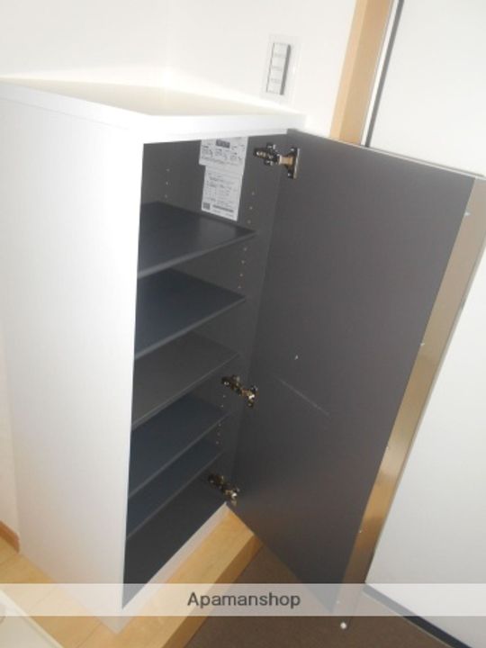 AMBOISE指扇(アンボワーズ)の玄関