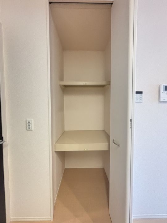 カンパニュラのその他画像