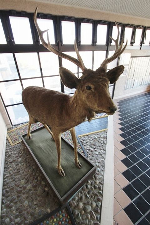 メゾンベルクール213のその他画像