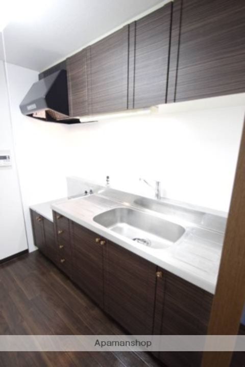 ルシーダⅡ303のキッチン