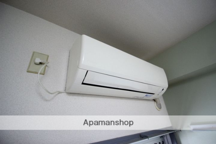 アメリカン ドリームのその他画像