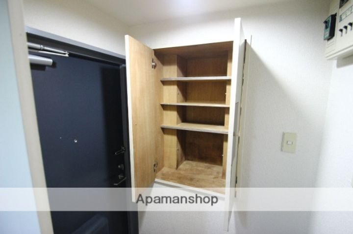 アメリカン ドリームのその他画像