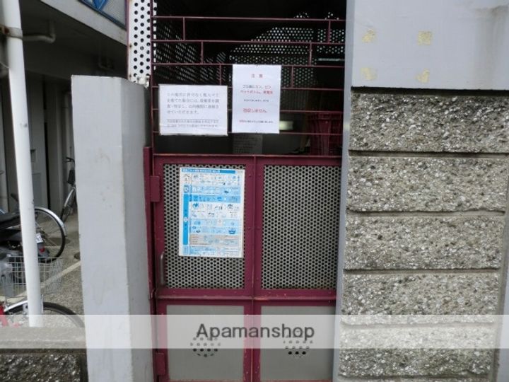 アメリカン ドリームのその他画像