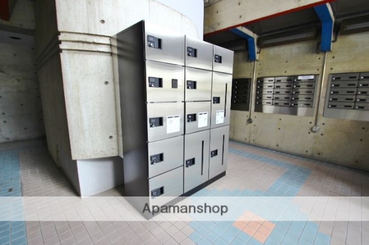 アメリカン ドリームのその他画像