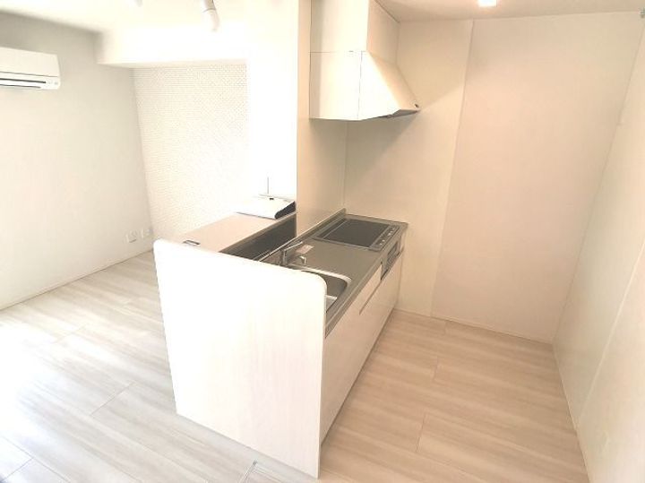 プレミアムリコス 壱号館のキッチン