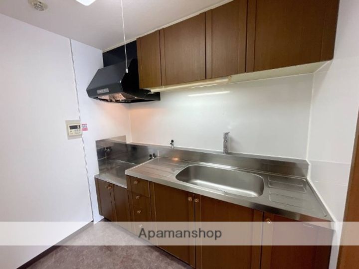 ルシーダⅡ111のキッチン