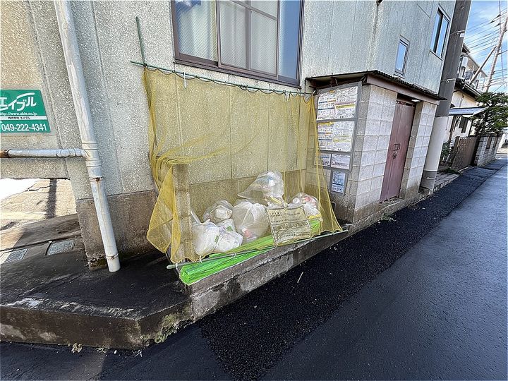 バンブーズのその他画像
