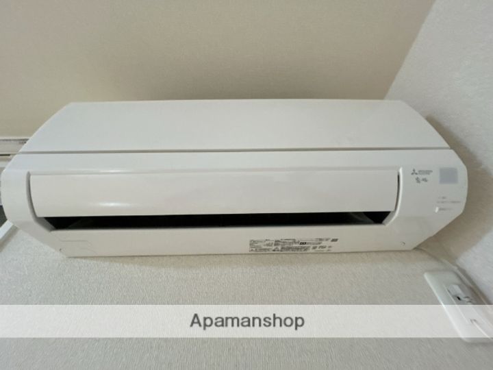 コロカシアのその他画像