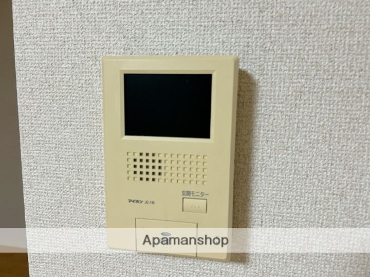 コロカシアのその他画像